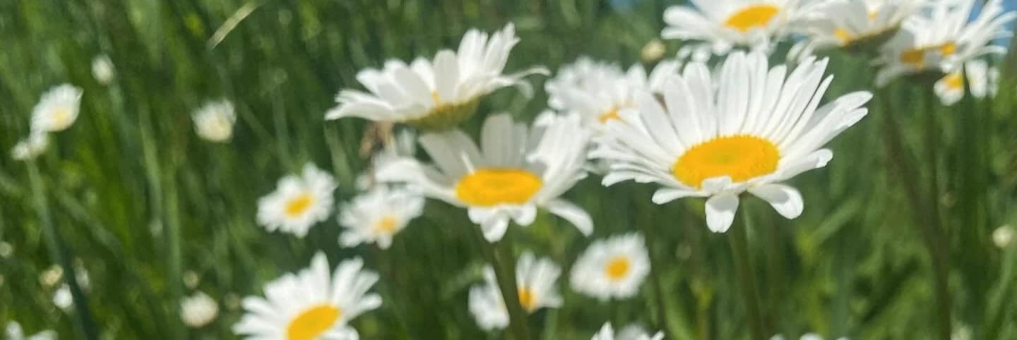 Sprecher East community gathering